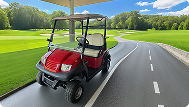 双色高尔夫球车